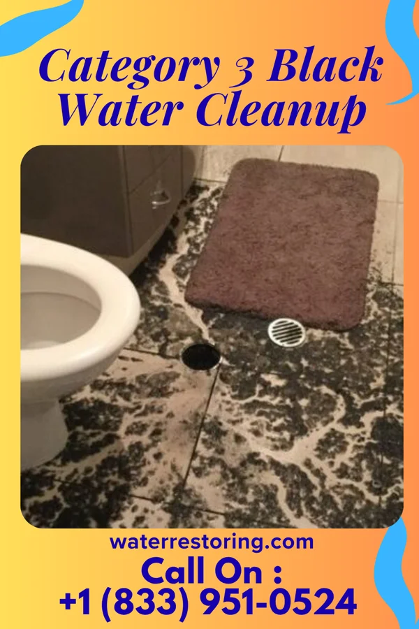 Category 3 Black Water Cleanup in Pleasant Hills, MD
