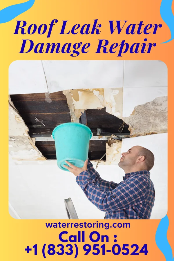 Roof Leak Water Damage Repair in Pleasant Hills, MD