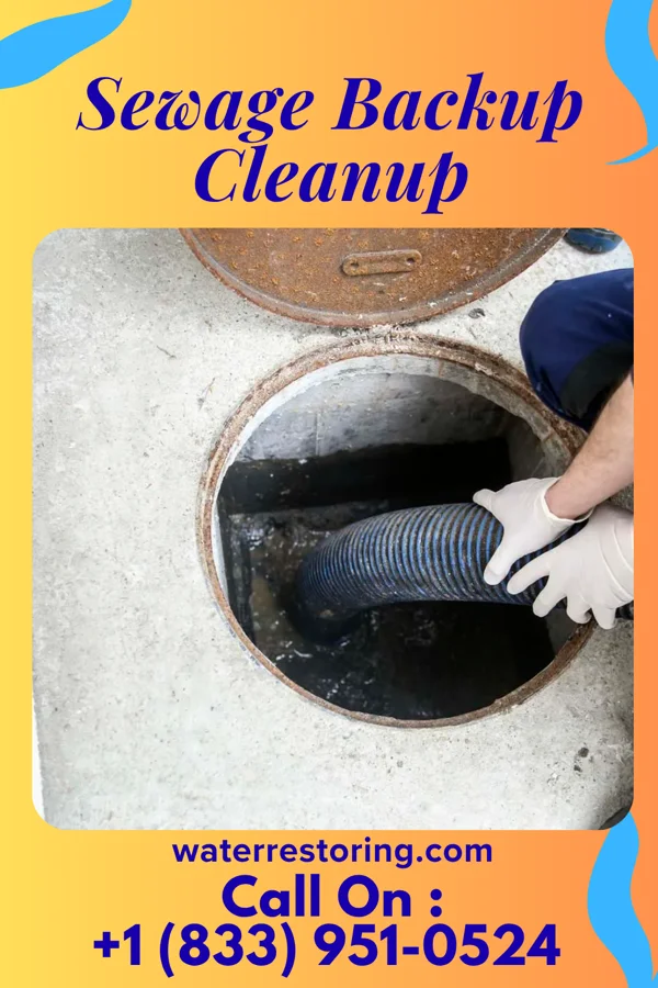 Sewage Backup Cleanup in Pleasant Hills, MD